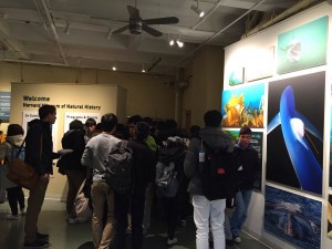 2: ハーバード大学自然史博物館見学