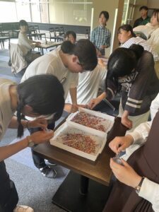 ミルフィオリ体験