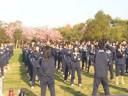 20130420041.jpg