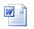 word_icon