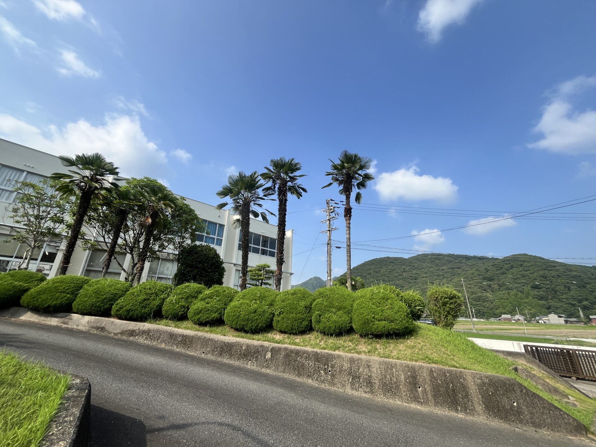 学校生活