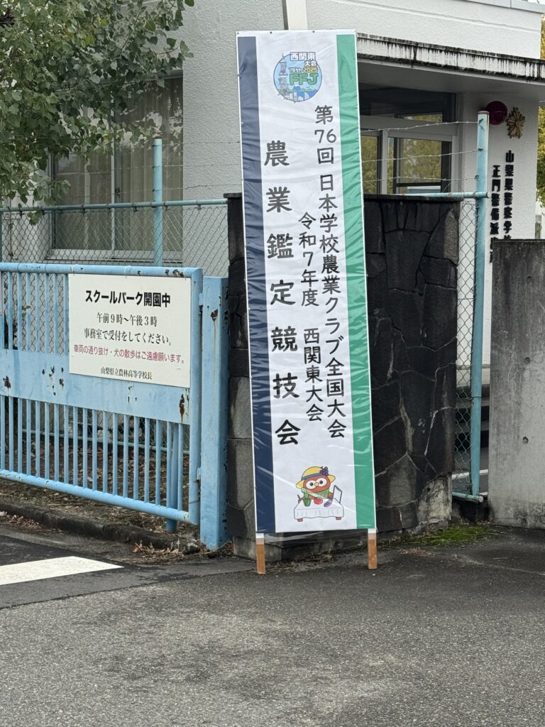IMG_4620-768x1024.jpeg