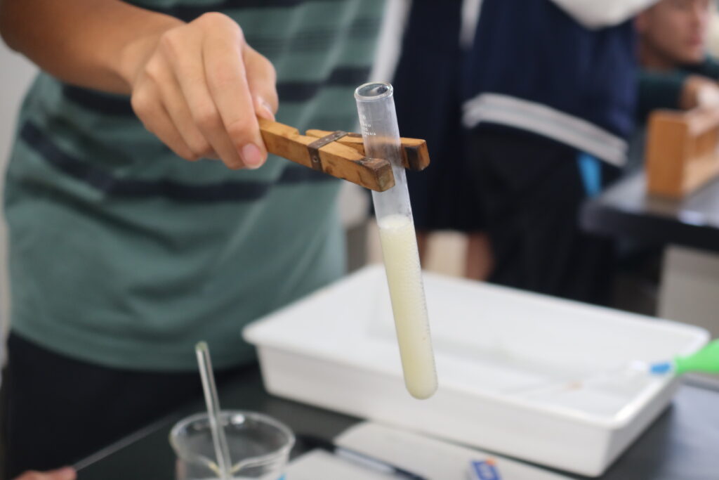 化学実験［タンパク質の性質］