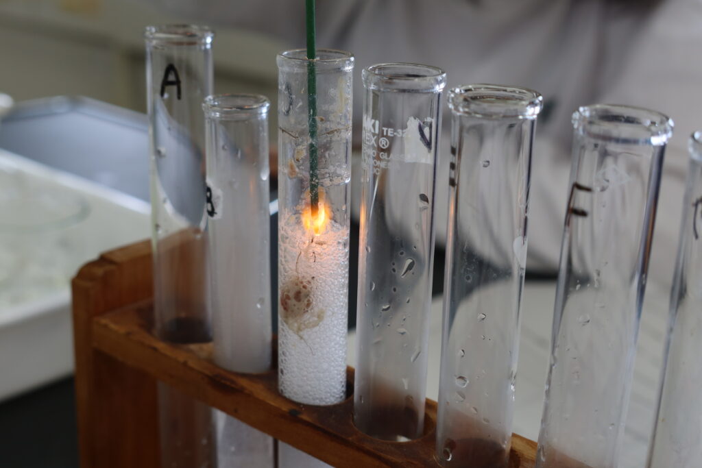 生物実験［酵素の実験(カタラーゼの反応)］