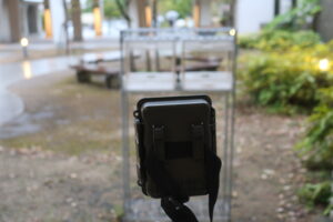 バードフィーダー