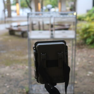 バードフィーダー