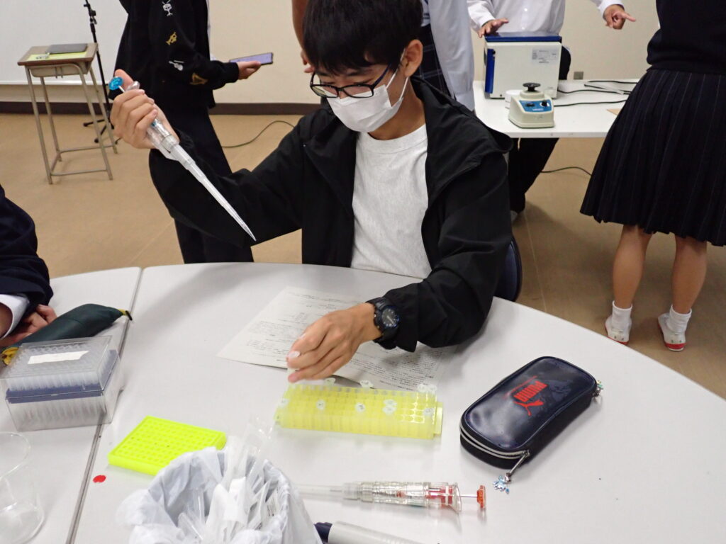 遺伝子解析実習に参加しました