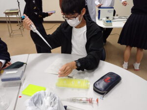 遺伝子解析実習に参加しました