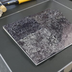 探究活動［実験の様子］