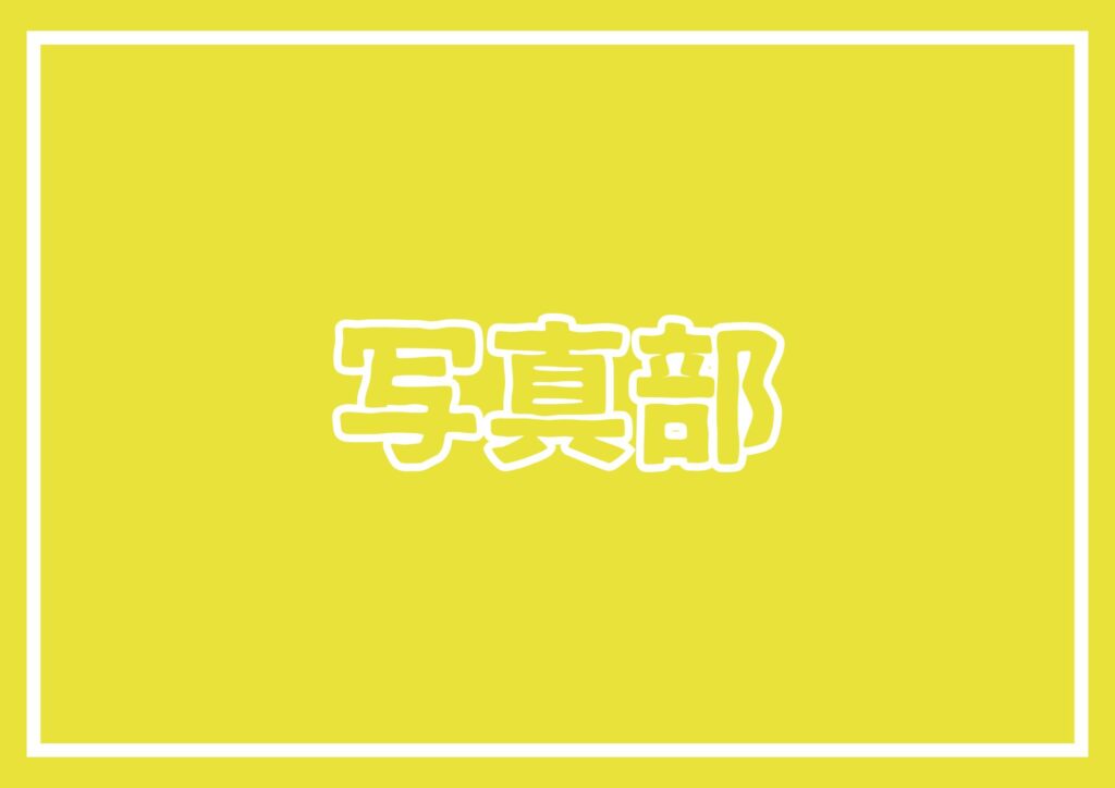 第４９回兵庫県総合文化祭 写真部門 結果