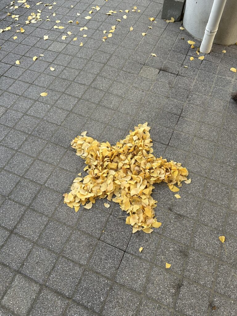 落ち葉アート