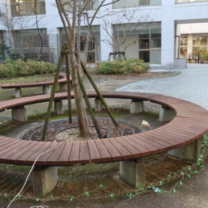 イルミネーション