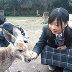 カンガルーと遊ぶ