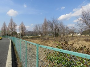 IMG_3560