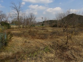IMG_3561