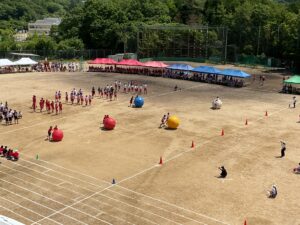 Read more about the article 令和７年度　体育祭