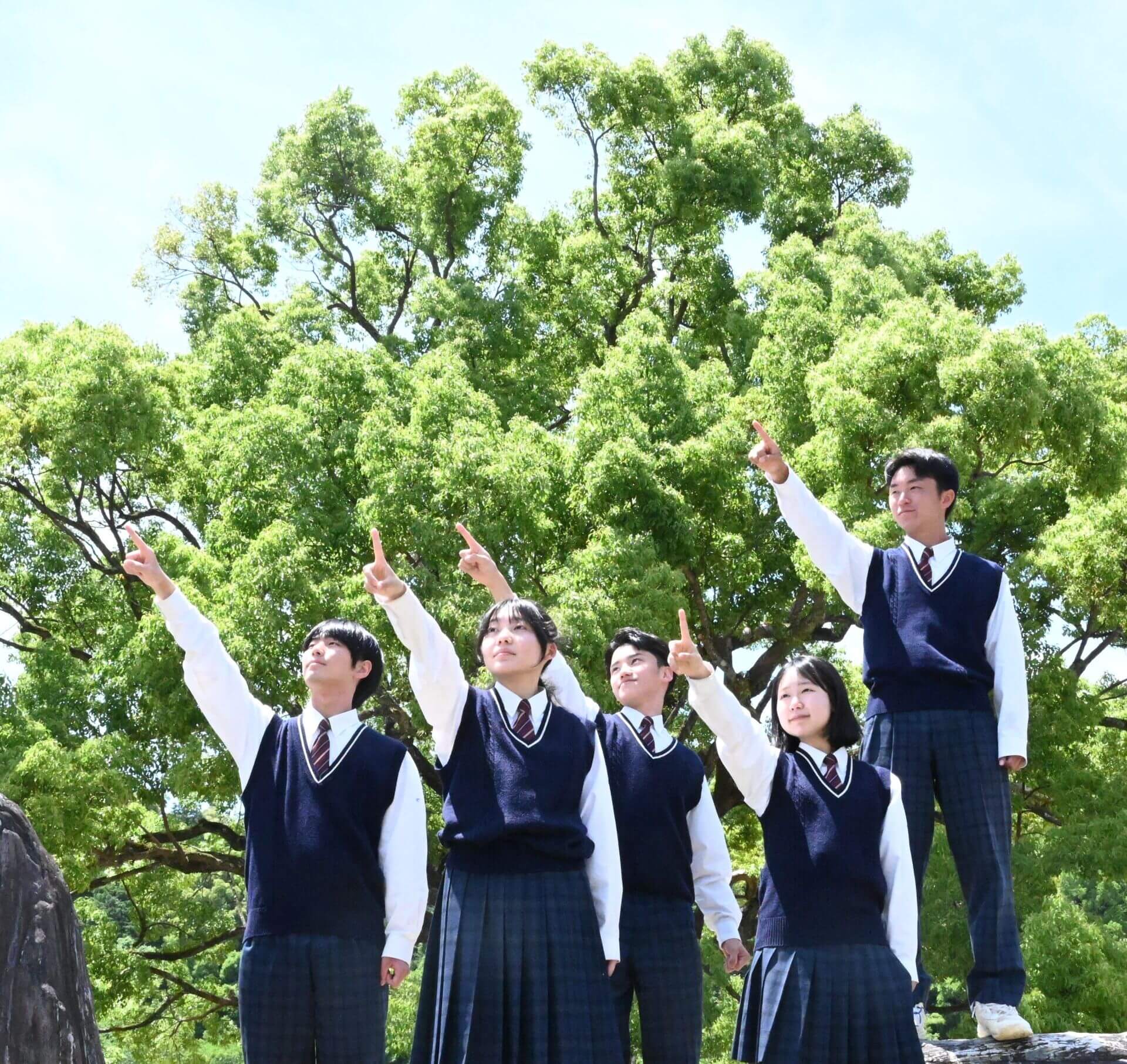 活動歴および当時の関連ビジュアル記録