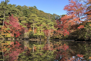 神戸市立森林植物園