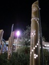 CIMG7330