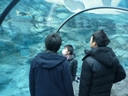 修学旅行３日目 (116)
