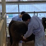 IMG_0334
