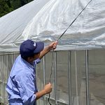 IMG_0598