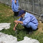 IMG_0602