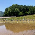 田植え7-2