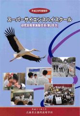 【2955：豊岡】研究開発実施報告書2018_第３期第2年次のサムネイル