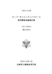 H25SSH研究開発実施報告書のサムネイル