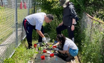 高等部１年　生活単元学習～夏野菜を育てよう～