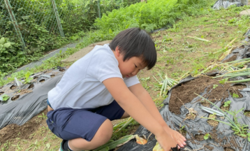 「小学部　せいかつ」