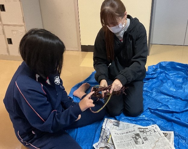 中学部　１１月１９日（水）