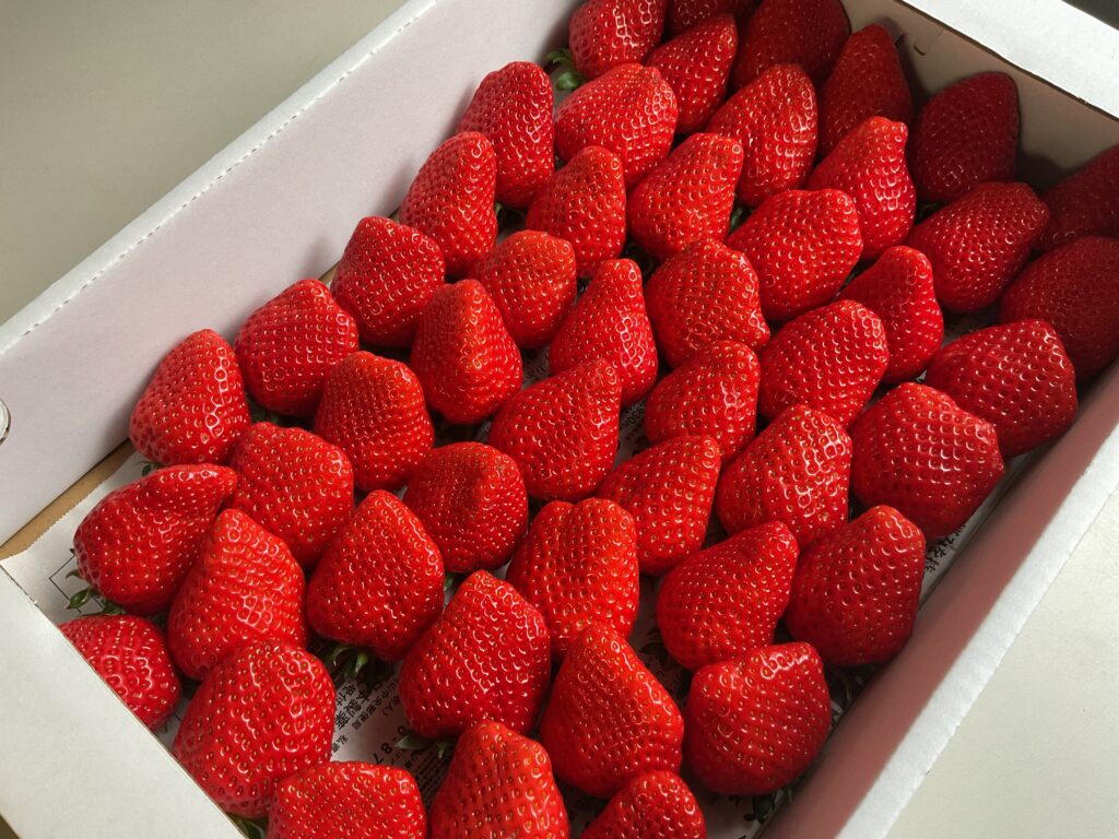 学校に届いた春の味わい